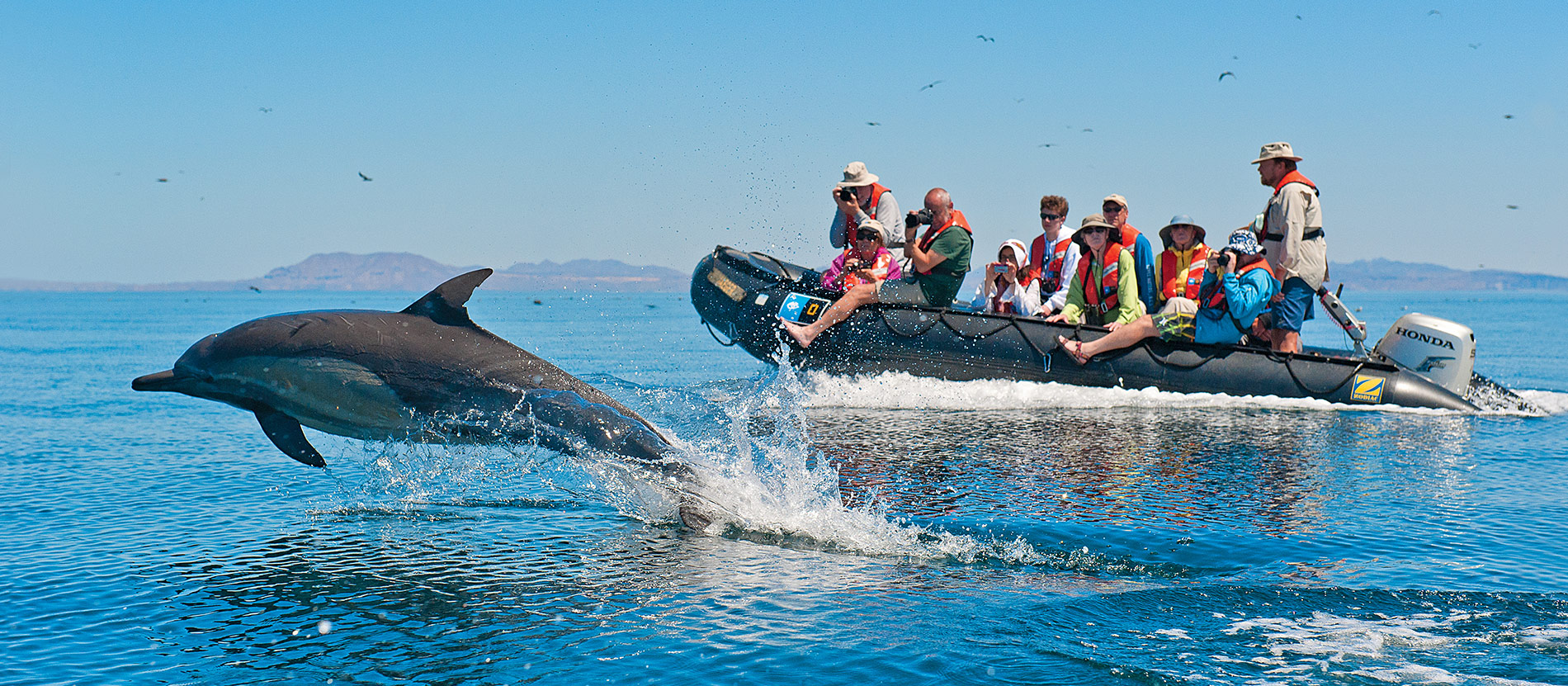 Luxury yacht near Baja California coast